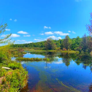 This Pennsylvania Nature Preserve Has a 2.2-Mile Trail Through Rare Wetlands and Bird Habitat