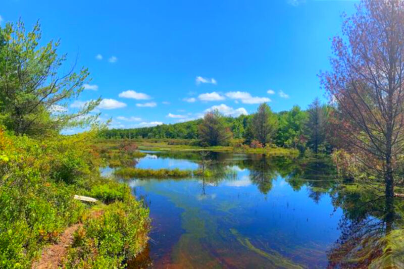 This Pennsylvania Nature Preserve Has a 2.2-Mile Trail Through Rare Wetlands and Bird Habitat
