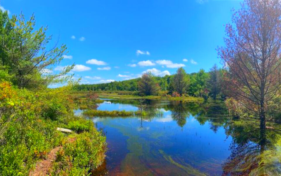 This Pennsylvania Nature Preserve Has a 2.2-Mile Trail Through Rare Wetlands and Bird Habitat