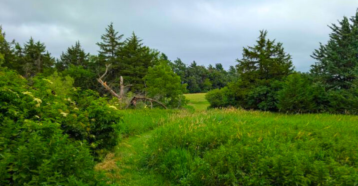 This Nebraska Nature Escape Has 200+ Tree Species, Tallgrass Prairie, and Miles of Trails
