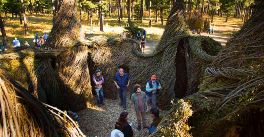 One of Montana’s Best Free Attractions Features Massive Sculptures Hidden in a Forest