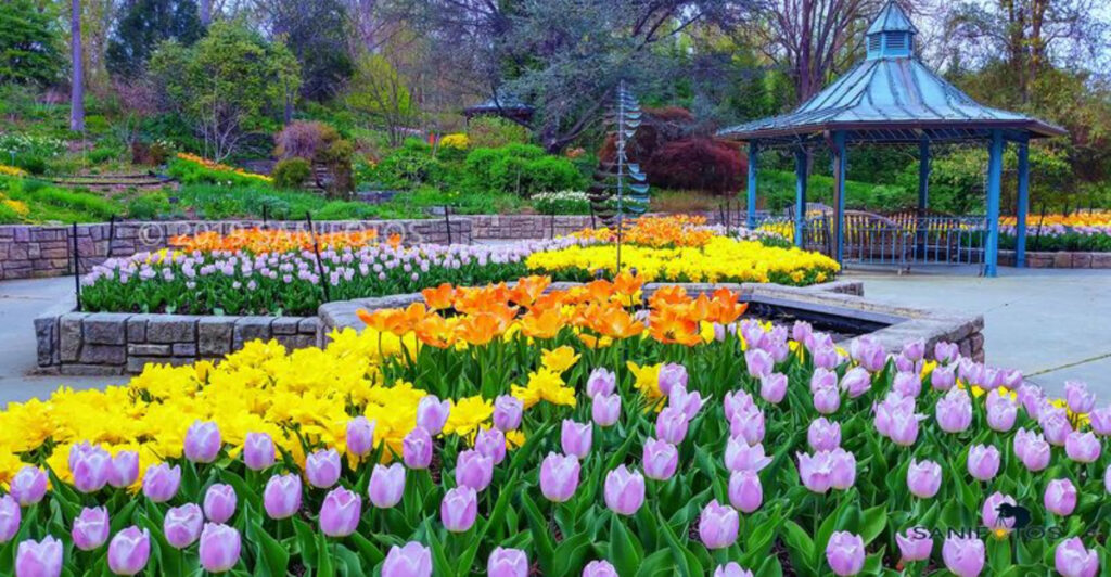 This Maryland Garden Hides 20,000 Plants Across 50 Peaceful Acres