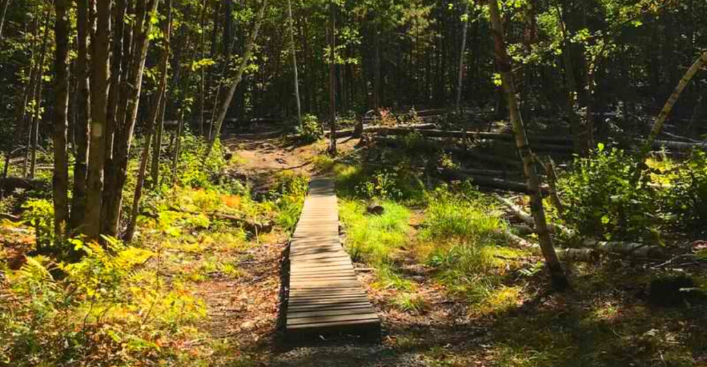 One of New Hampshire’s Best-Kept Hiking Secrets Is Just 5 Minutes From the Highway