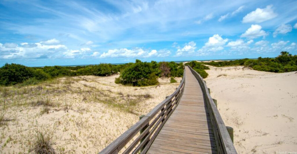 14 Scenic Boardwalks That Stretch Through Marshes, Forests, And Dunes