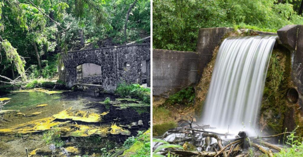 The Wisconsin Nature Trail Where 30,000 Gallons of Spring Water Flow Each Hour
