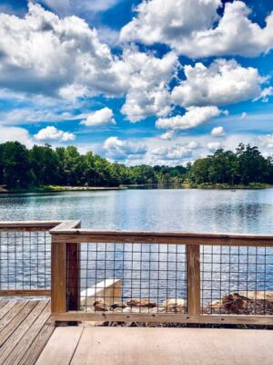 This Historic South Carolina Restaurant Dishes Up Southern Comfort Food With Sweeping Lake Views