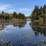 This 3-Mile Massachusetts Trail Rewards You With Big Scenery Without Ever Wearing You Out