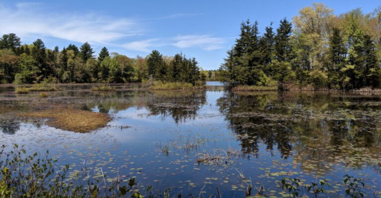 This 3-Mile Massachusetts Trail Rewards You With Big Scenery Without Ever Wearing You Out
