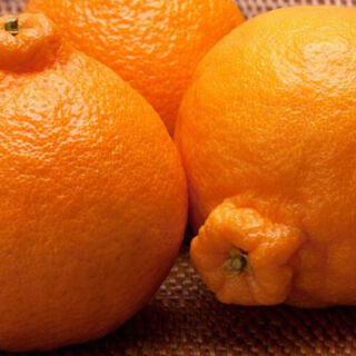 13 of the World’s Most Expensive and Luxurious Fruits