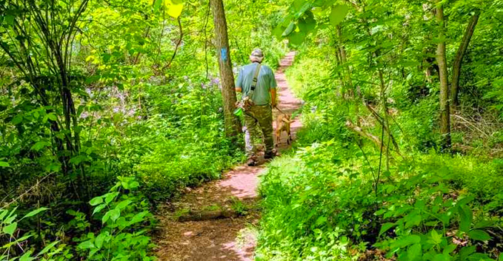 This 2-Mile Pennsylvania Hike Has 67 Wildflower Species and a Ridge-Top View Worth the Climb
