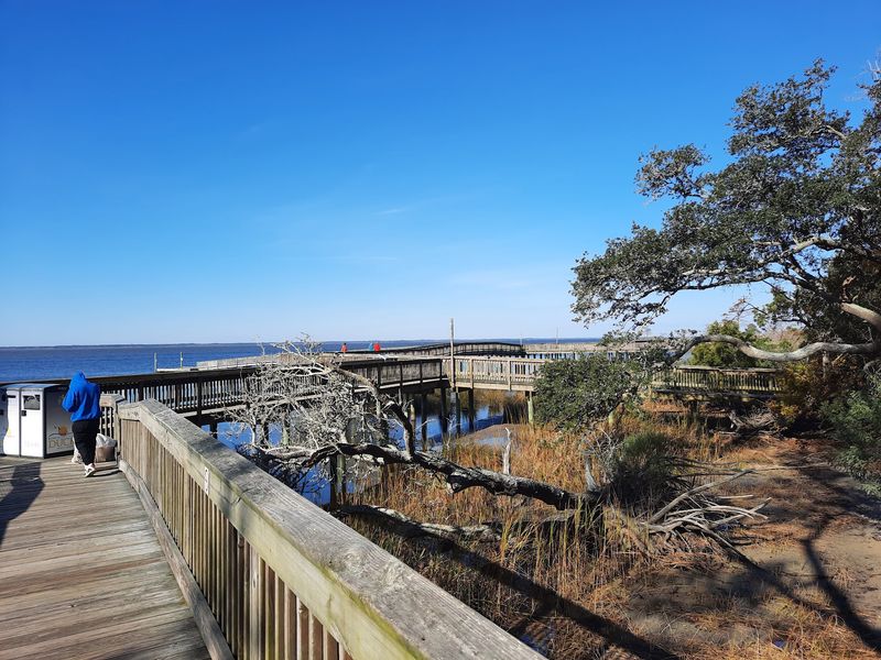 This Nearly-Mile-Long Boardwalk In North Carolina Lets You Stroll Right Along The Currituck Sound Through Maritime Forest And Marsh