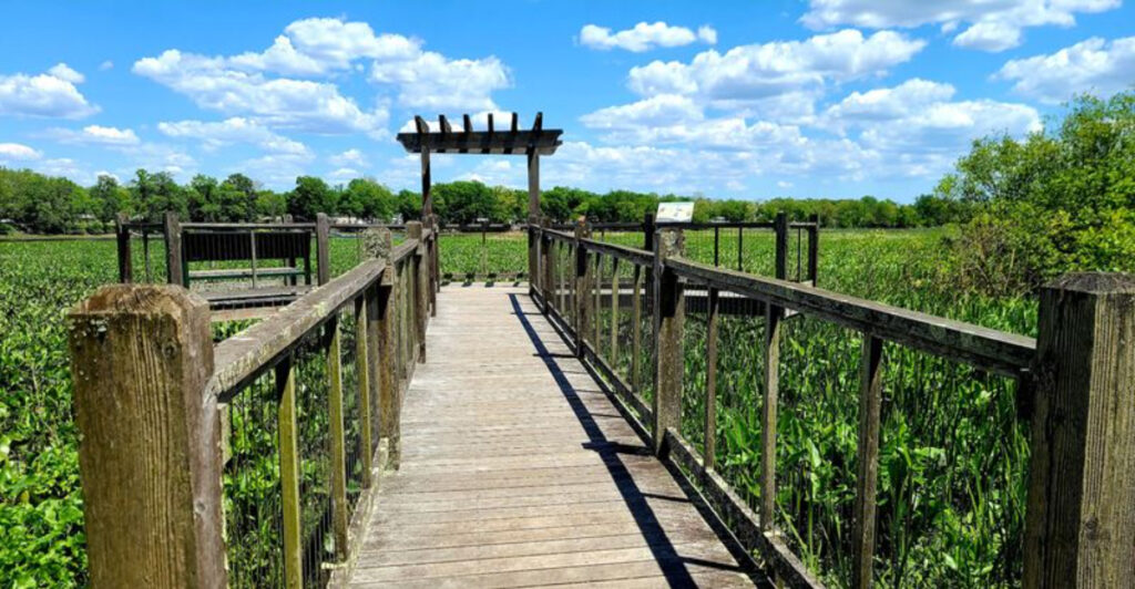 At This New Jersey Park, The Bird Blind Is Right Off The Boardwalk For Easy Owl And Warbler Watching