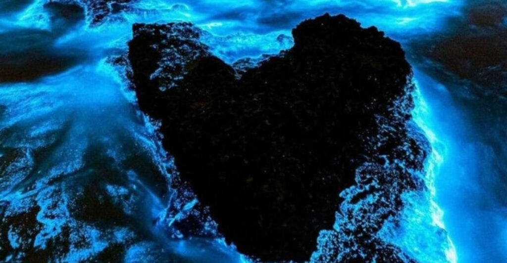 14 Places Around The World Where You Can See Bioluminescent Water