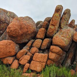 Deep in the Wichita Mountains, a Herd of Longhorns Still Roams This Free Oklahoma Refuge