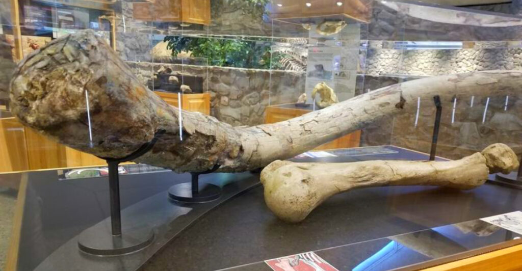 This Missouri Historic Site Preserves Evidence of Humans Hunting Mastodons 10,000 Years Ago