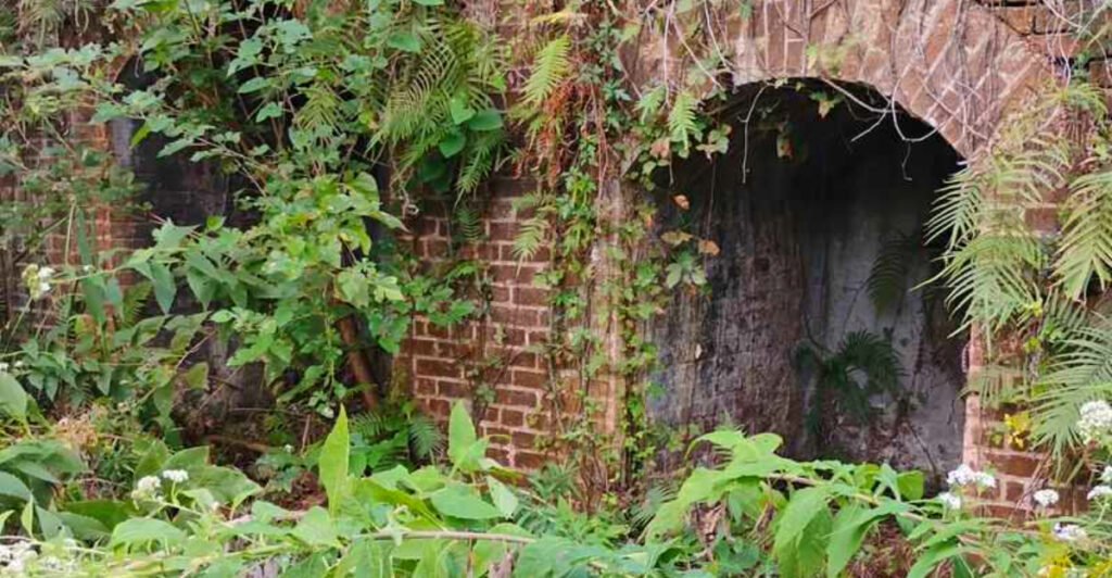 This 200-Year-Old Louisiana Fortress Is Now An Eerie Overgrown Ruin