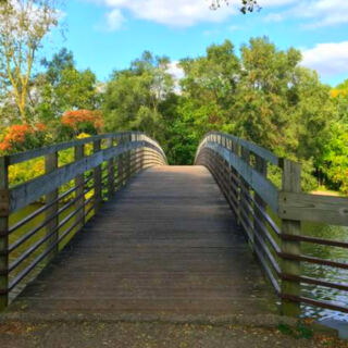 14 Michigan Trails Perfect for First-Time Hikers