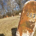 In This New Jersey Cemetery, 900 Numbered Graves Make The Ghost Stories Feel Sadder