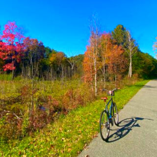 13 Beginner-Friendly Bike Trails in Michigan With Easy Grades and Great Scenery
