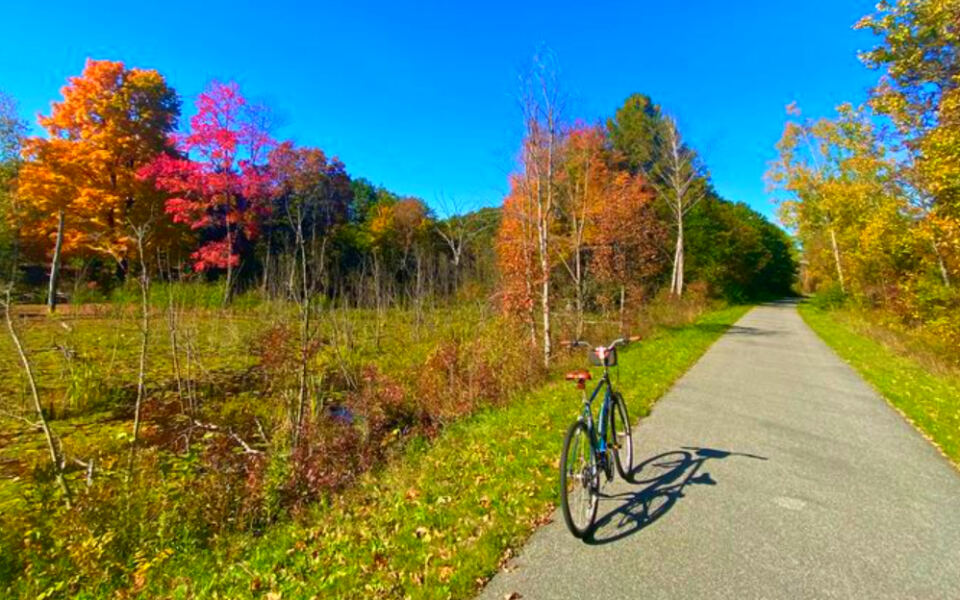 13 Beginner-Friendly Bike Trails in Michigan With Easy Grades and Great Scenery