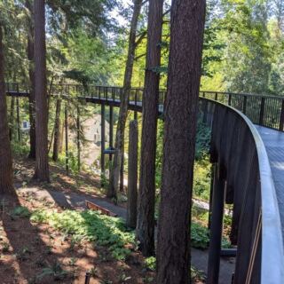 This Oregon Botanical Garden Is A 17-Acre Urban Oasis With A Canopy Walk Hardly Any Locals Know About