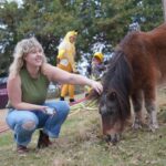 8 Heartwarming Oklahoma Animal Sanctuaries Where Rescued Horses and Goats Give Unconditional Love