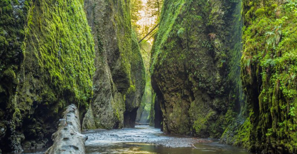 This Hidden Oregon Canyon Is One of the State’s Most Extraordinary Hikes