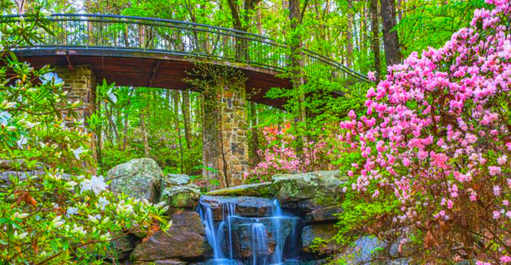 10 Arkansas Botanical Gardens With Tulips, Butterfly Houses, and Ozark Views