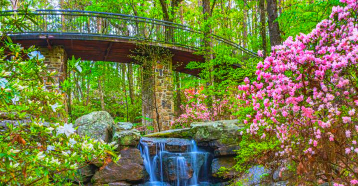 10 Arkansas Botanical Gardens With Tulips, Butterfly Houses, and Ozark Views