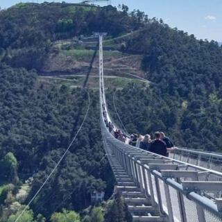15 Record-Breaking Suspension Bridges You Can Actually Walk Across