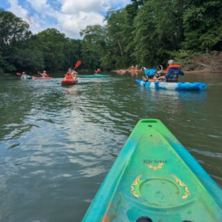 This Tennessee Outfitter Floats You Down the Gentle Buffalo River Past Turtles, Cranes, and Almost No Paddling