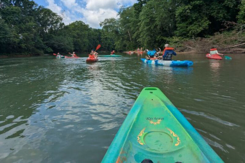 This Tennessee Outfitter Floats You Down the Gentle Buffalo River Past Turtles, Cranes, and Almost No Paddling
