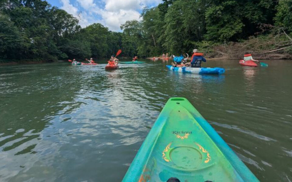 This Tennessee Outfitter Floats You Down the Gentle Buffalo River Past Turtles, Cranes, and Almost No Paddling