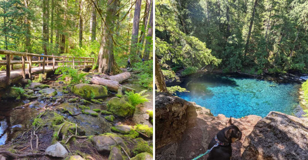 This Stunning Oregon Hike Has an Energy Visitors Say Is Hard to Explain