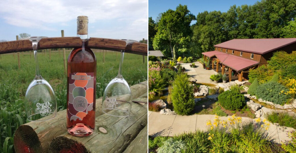 10 Indiana Wineries And Wine Trails For A Relaxing Weekend Trip