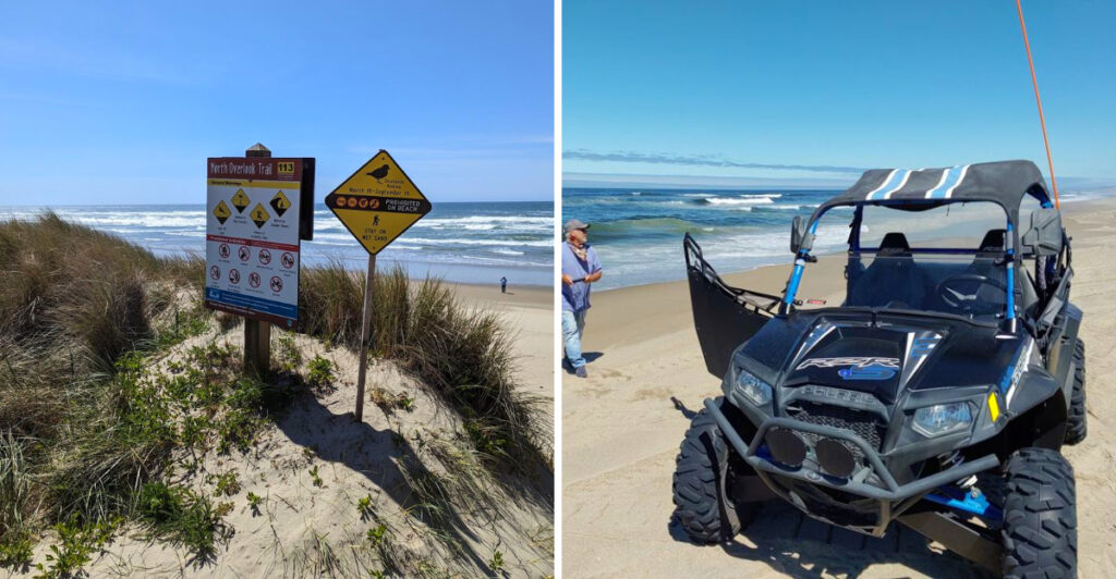 This Oregon Beach Is Where Giant Sand Dunes Meet the Pacific Ocean