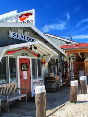Wellfleet Locals Know This BYOB Cape Cod Seafood Spot Is Something Special