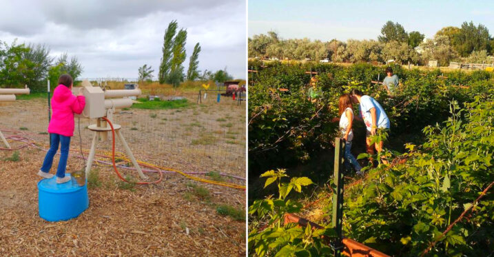 This Idaho Farm Has U-Pick Berries, Apple Cannons, and a Straw Maze Worth Getting Lost In