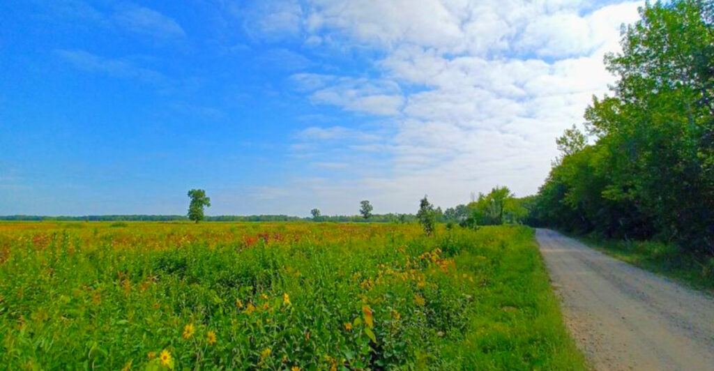 This Minnesota Wildlife Area Spans 25,000 Acres Just Outside The Twin Cities