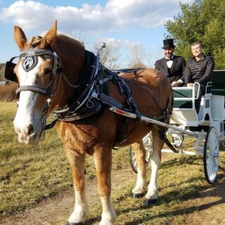 This Ludlow Farm Sends You Down Scenic Rural Roads on a Draft-Horse Carriage Ride Close to Home