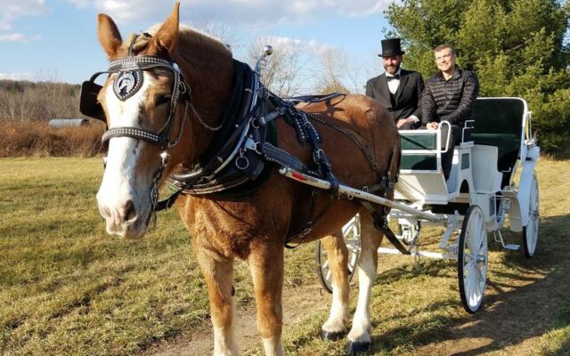 This Ludlow Farm Sends You Down Scenic Rural Roads on a Draft-Horse Carriage Ride Close to Home