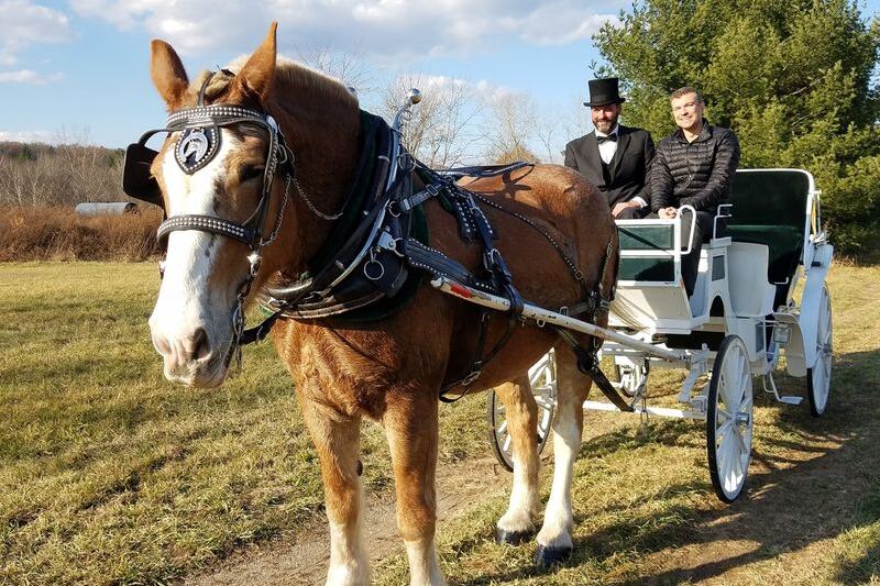 This Ludlow Farm Sends You Down Scenic Rural Roads on a Draft-Horse Carriage Ride Close to Home