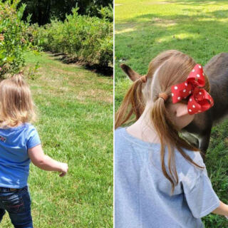 This Tennessee Farm Lets You Pick Pesticide-Free Blueberries All Summer Long