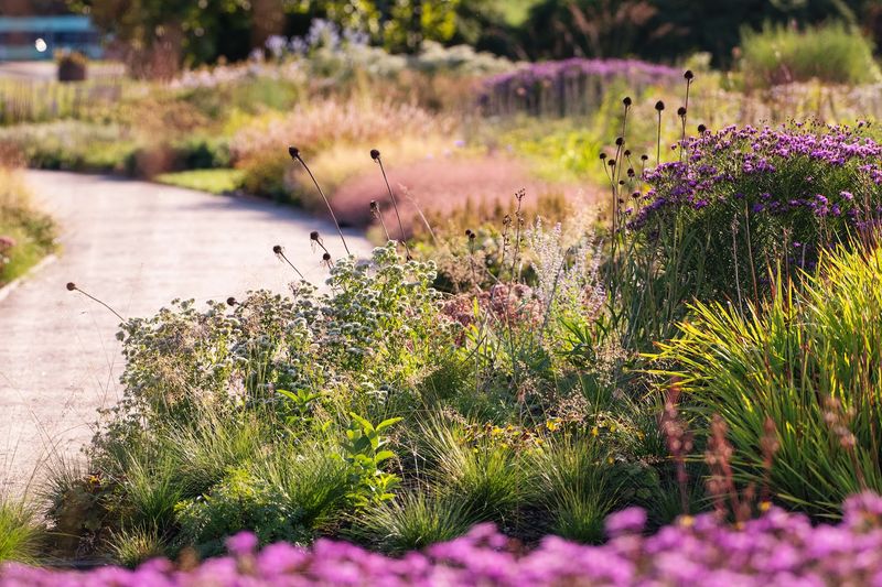 A $4.7 Million Gift to Detroit's Public Spaces A $4.7 Million Gift to Detroit's Public Spaces