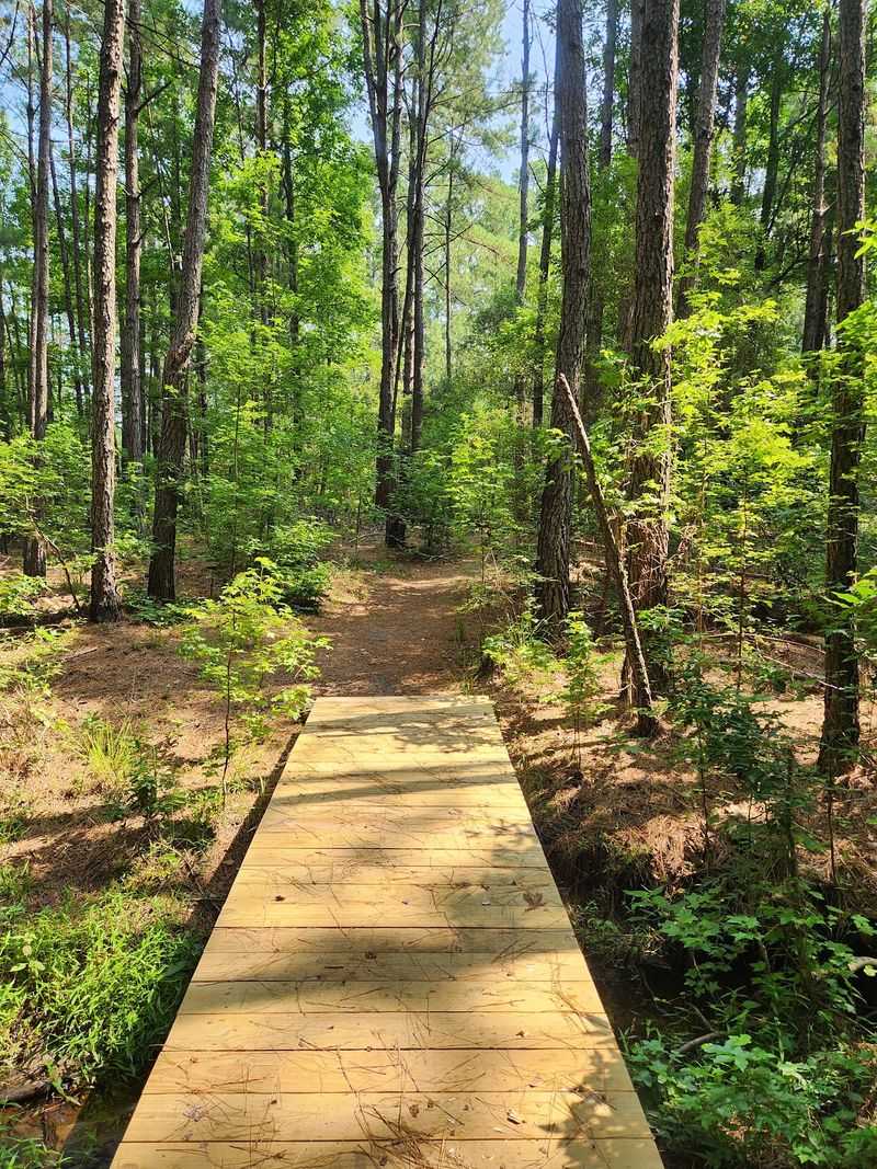 A 7.5-Mile Bike Loop Through the Pines A 7.5-Mile Bike Loop Through the Pines