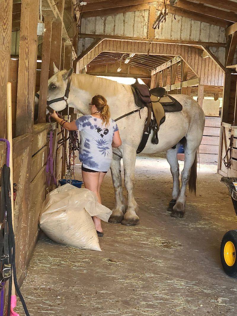 A Barn Tour and a Bag of Apple Slices