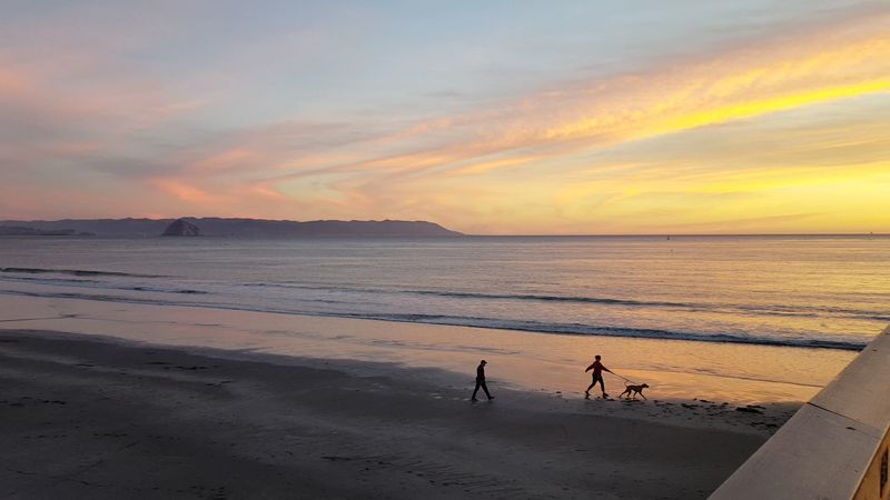 A Beach That Welcomes Four-Legged Friends