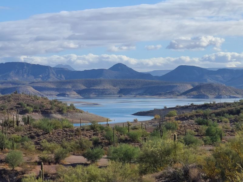 A Blue Surprise North of Phoenix A Blue Surprise North of Phoenix
