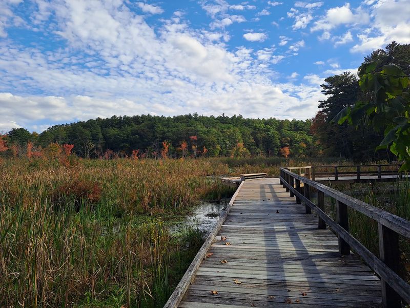 A Boardwalk That Floats Over The Marsh A Boardwalk That Floats Over The Marsh