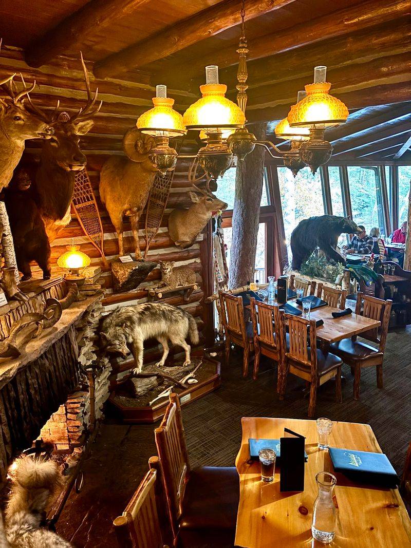 A Cabin Built With Real Craftsmanship A Cabin Built With Real Craftsmanship